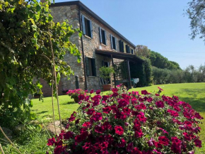 Holiday House Petrarca Arquà Petrarca